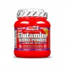 Glutamina Micro Powder 500 g