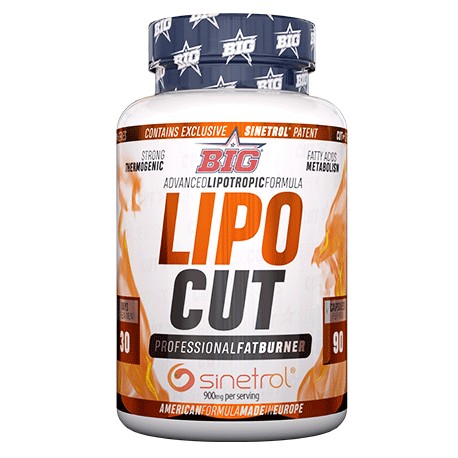 Lipo Cut Big 90 Cápsulas