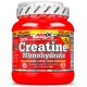 Amix Creatina Monohidrato 500 g + 250 g Gratis