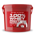 100% Whey Protein Professional 5 kg