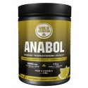 Goldnutrition ANABOL 300 g