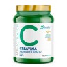 Creatina Monohidrato Micronizada 300 g