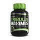 Tribulus Maximus 90 Tabletas