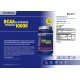 Bcaa+ Glutamina Powder 1 kg